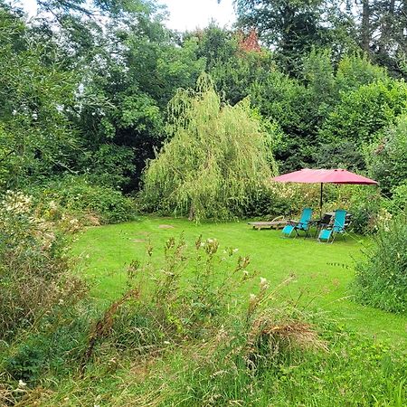 Kingsley Cottage - Beautiful Riverside Setting Beaworthy Buitenkant foto