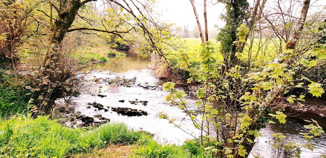 Kingsley Cottage - Beautiful Riverside Setting Beaworthy Buitenkant foto