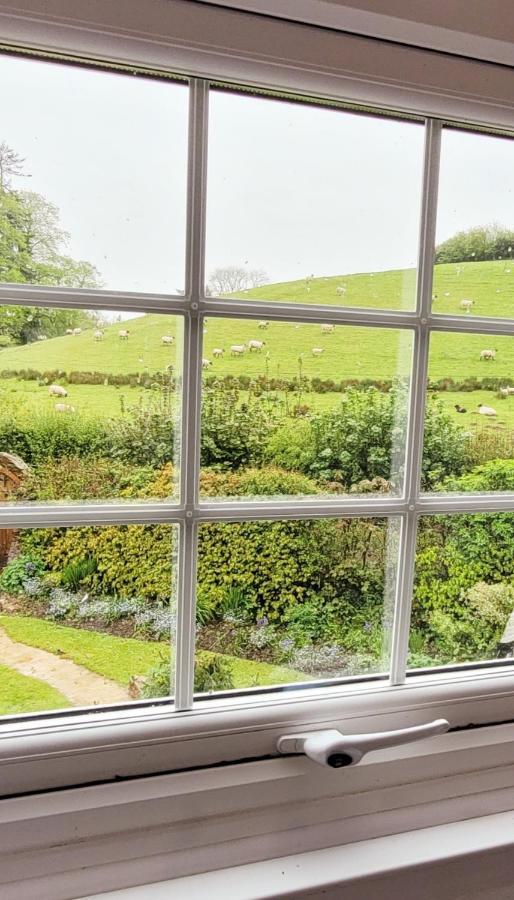Kingsley Cottage - Beautiful Riverside Setting Beaworthy Buitenkant foto