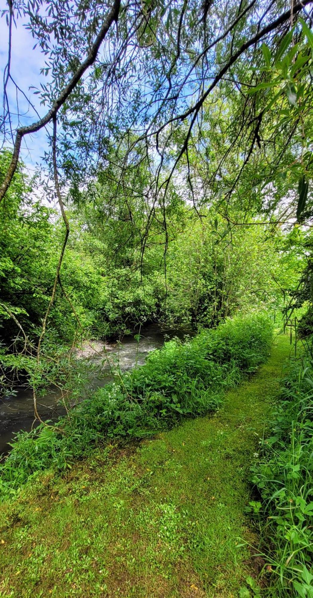 Kingsley Cottage - Beautiful Riverside Setting Beaworthy Buitenkant foto