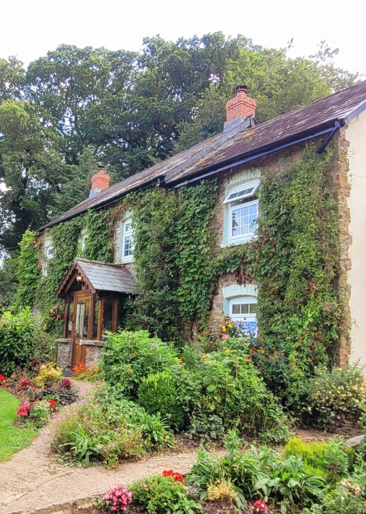 Kingsley Cottage - Beautiful Riverside Setting Beaworthy Buitenkant foto